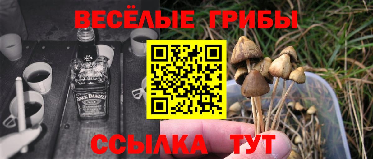 Галлюциногенные грибы Psilocybine cubensis Лангепас